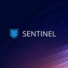 A step by step guide on how to stake in Sentinel Network